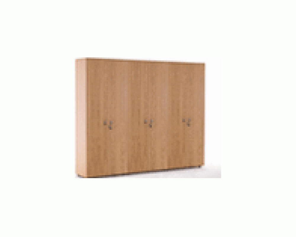 Шкаф для бумаг x 2 с гардеробом Exe