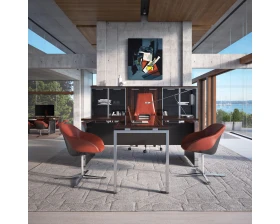 Кабинет руководителя Флэш Люкс / Flash Lux images