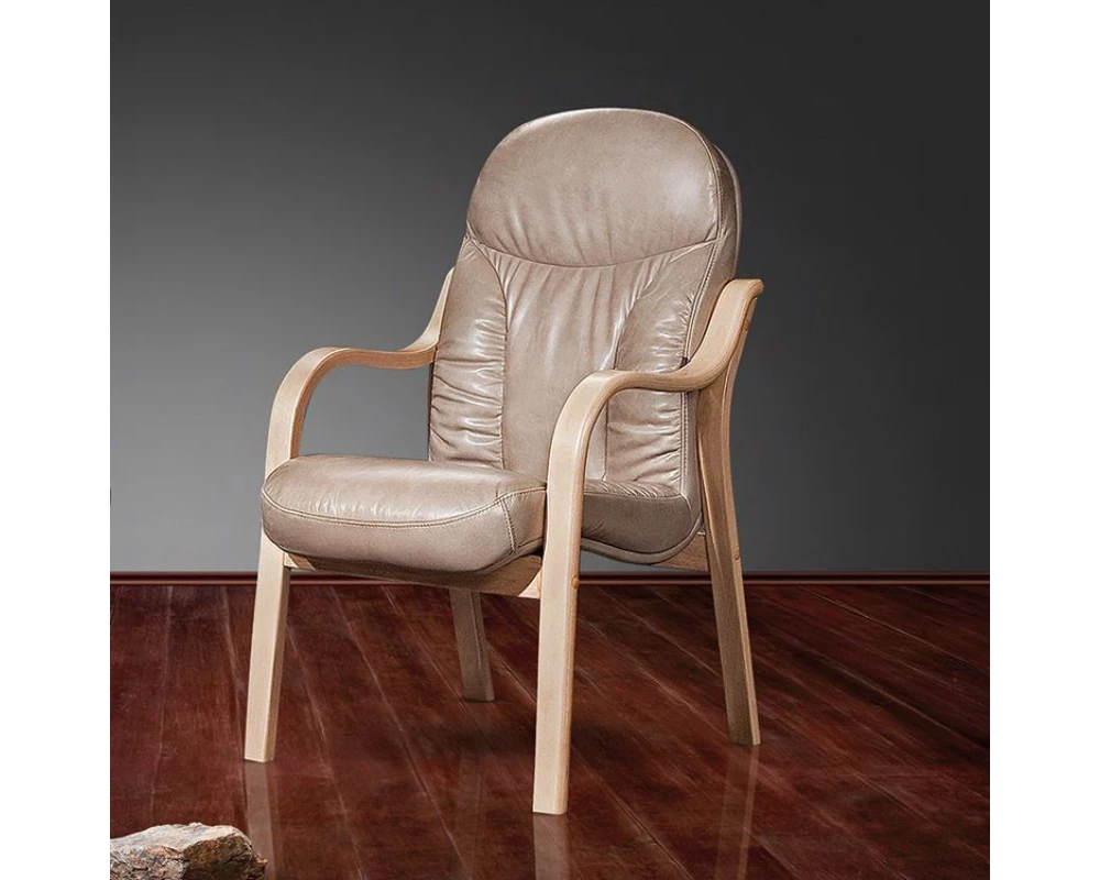 Стул офисный Ренуар SE-010