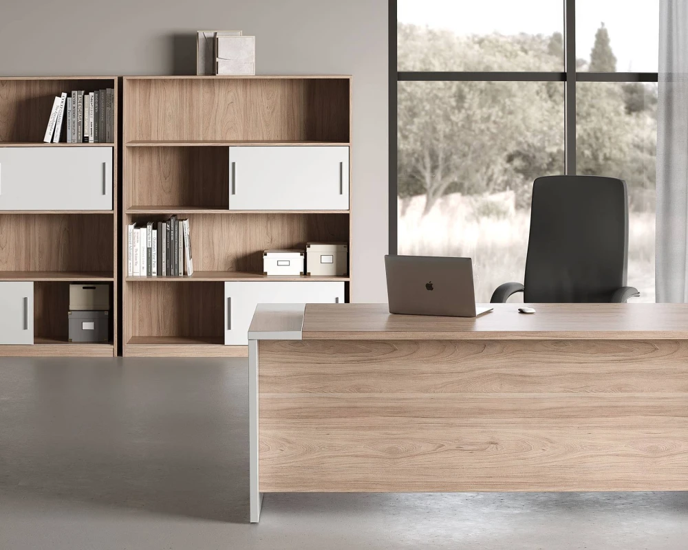 Кабинет руководителя Асти П / Asti P