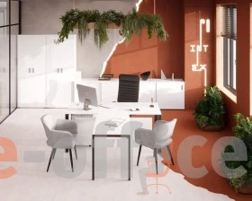 Кабинет руководителя Тренд / Trend images