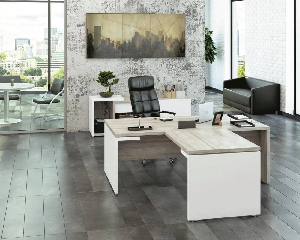 Кабинет руководителя Сион / Zion