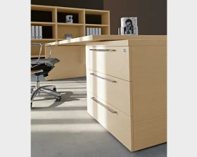 Кабинет руководителя Ekis images