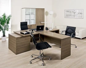 Кабинет руководителя Ekis images