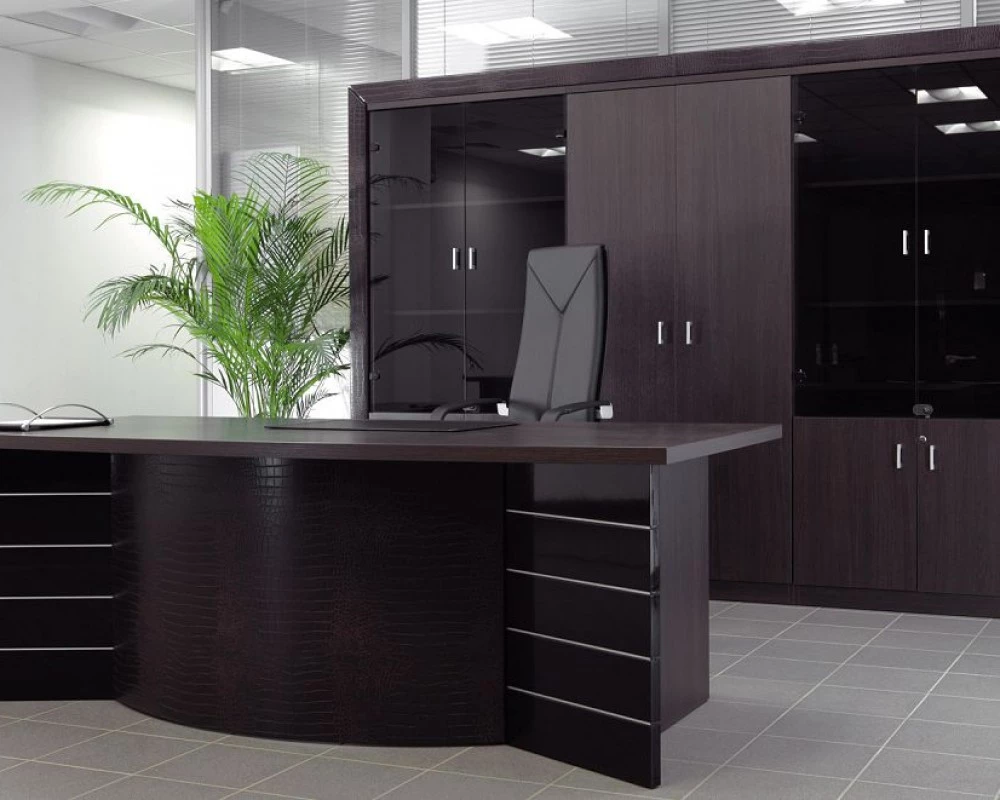 Кабинет руководителя Sirius