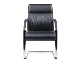 Кресло RV ДИЗАЙН Гастон-СФ / Gaston-SF (9364) images