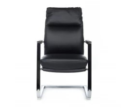 Кресло Riva Chair Leon-SF (D916 / D916C) images