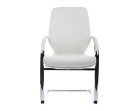 Кресло RV ДИЗАЙН Алонзо-СФ / Alonzo-CF (С1711) images