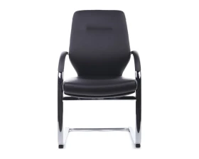 Кресло RV ДИЗАЙН Алонзо-СФ / Alonzo-CF (С1711) images