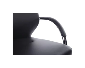 Кресло RV ДИЗАЙН Алонзо-СФ / Alonzo-CF (С1711) images