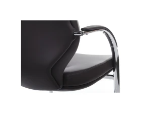 Кресло RV ДИЗАЙН Алонзо-СФ / Alonzo-CF (С1711) images