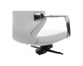 Кресло RV ДИЗАЙН Алонзо-М / Alonzo-M (В1711) images