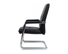 Кресло RV ДИЗАЙН Грант-СФ / Grant-SF (D885 / D885C) images