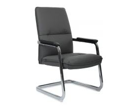 Кресло RV ДИЗАЙН Грант-СФ / Grant-SF (D885 / D885C) images