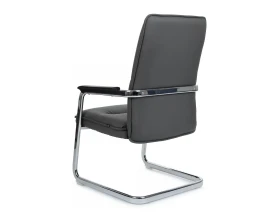 Кресло RV ДИЗАЙН Грант-СФ / Grant-SF (D885 / D885C) images