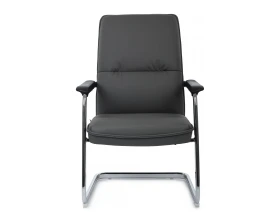 Кресло RV ДИЗАЙН Грант-СФ / Grant-SF (D885 / D885C) images