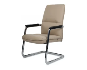 Кресло RV ДИЗАЙН Грант-СФ / Grant-SF (D885 / D885C) images