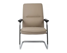 Кресло RV ДИЗАЙН Грант-СФ / Grant-SF (D885 / D885C) images