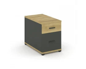 Тумба опорная/приставная 1 ящ. 1 распаш. фасад CN.TGO-004 A 420x720x583 Concept images