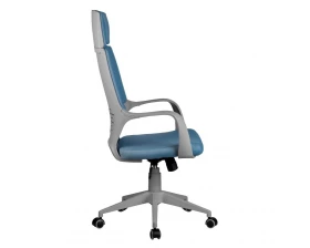 Кресло Riva Chair IQ Rv (8989) серый пластик images