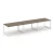 Вяз благородный/Белый