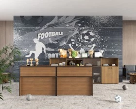 Мебель для приемной Дин-Р images