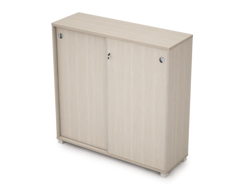 Шкаф-купе с замком (1237*400*1205) 6ШКЗ.013 AVANCE