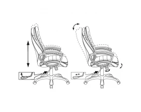 Кресло Бюрократ T-9950LT images