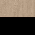 Дуб светлый/Черный
