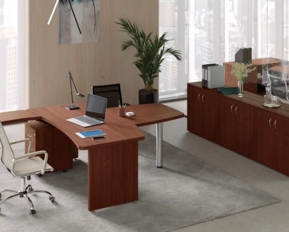 Кабинет руководителя Ergo Director