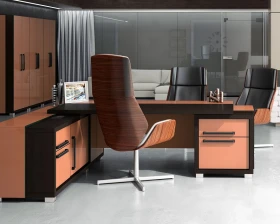 Кабинет руководителя Грейс / Grace images