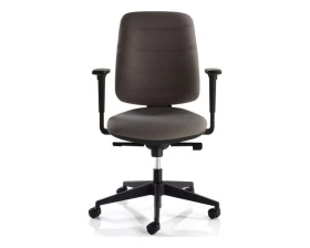 Кресло Twin images