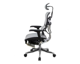 Кресло Ergohuman PLUS Legrest images