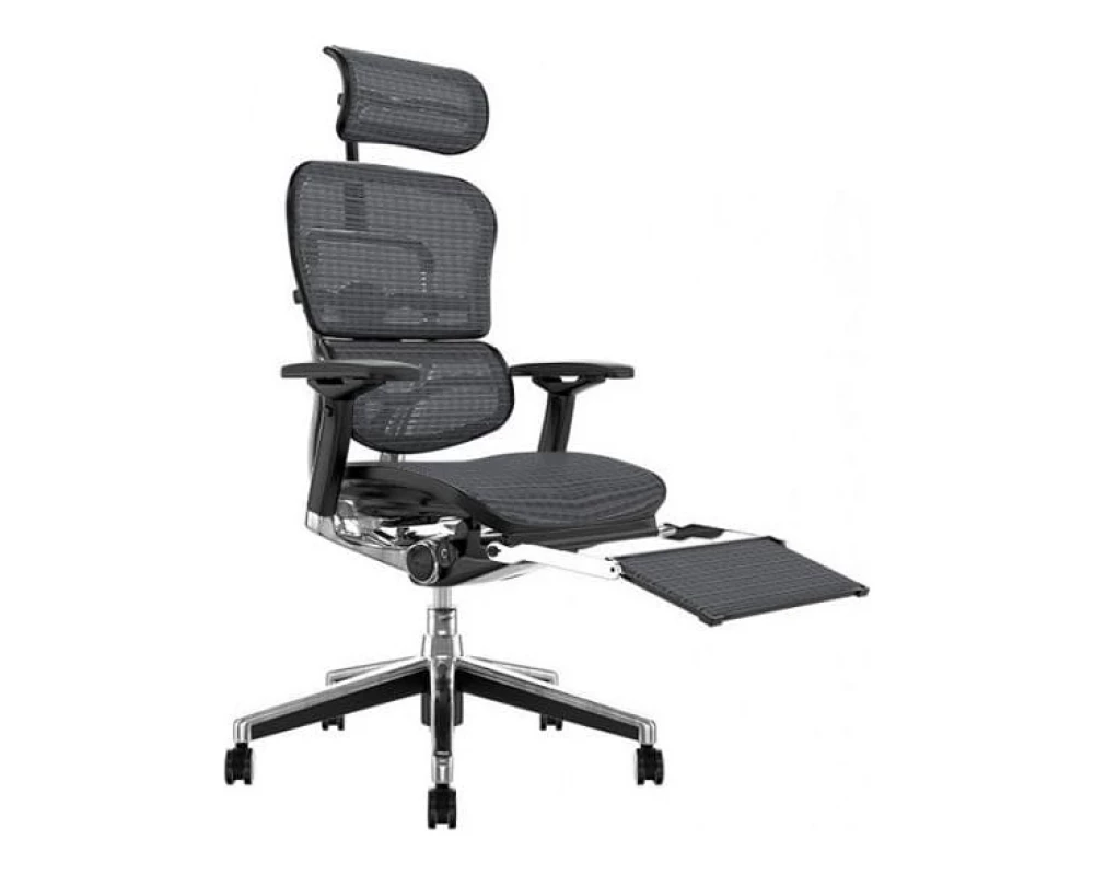 Кресло Ergohuman PLUS Legrest