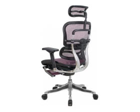 Кресло Ergohuman PLUS Legrest images