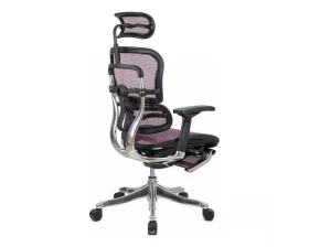 Кресло Ergohuman PLUS Legrest images