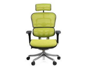 Кресло Ergohuman PLUS images