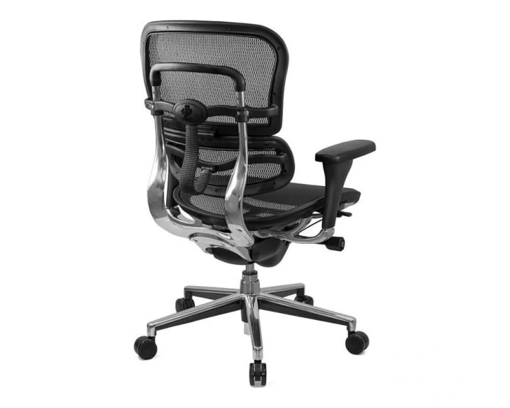 Кресло Ergohuman Standart