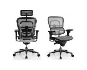 Кресло Ergohuman Standart images