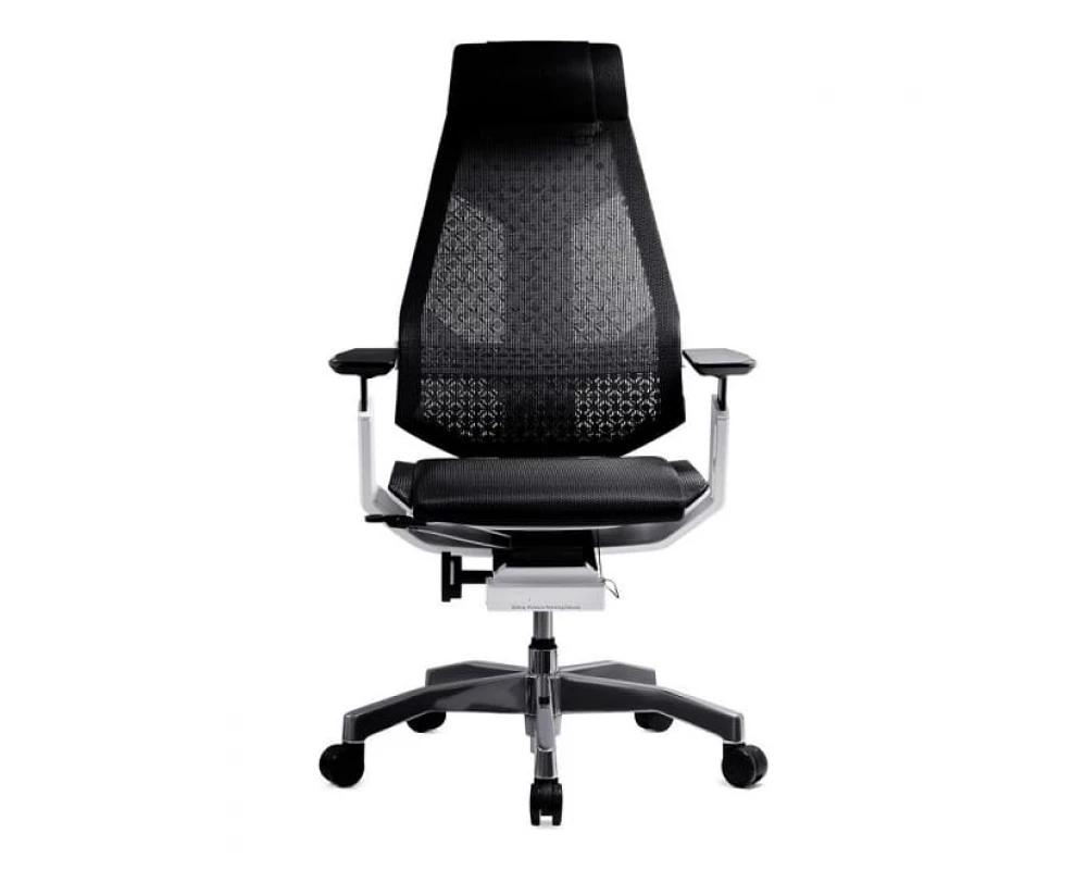 Кресло Genidia