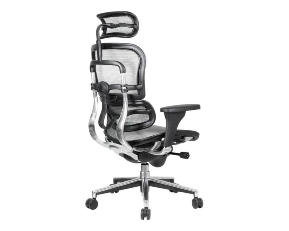 Кресло Ergohuman Standart