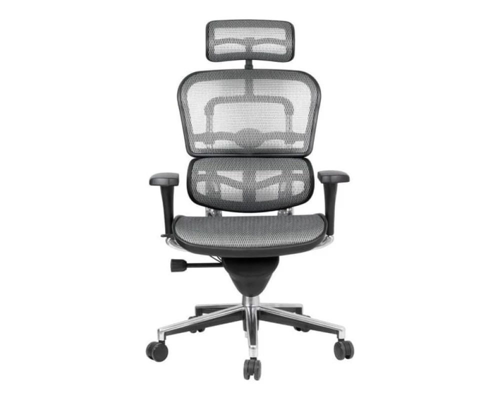 Кресло Ergohuman Standart