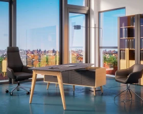 Кабинет руководителя Remo images