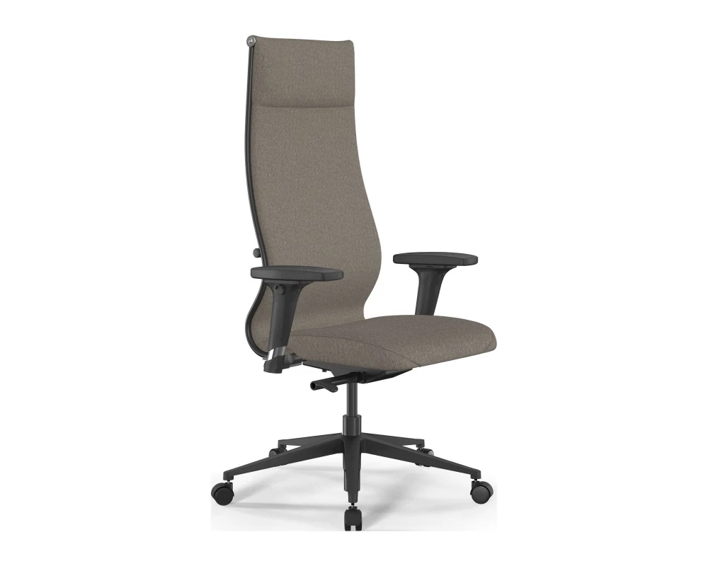 Кресло SynchroSit 10 B1-162D M23.B11.G19.W02 Ткань, Песочный