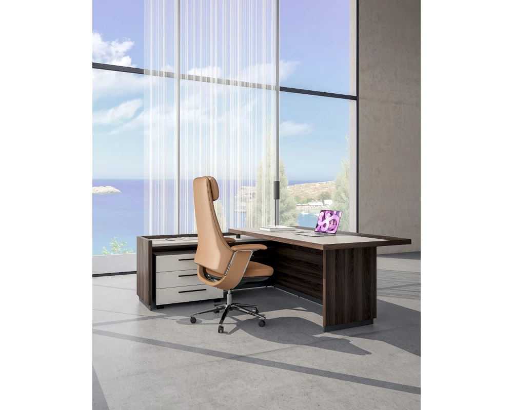 Кабинет руководителя Reef