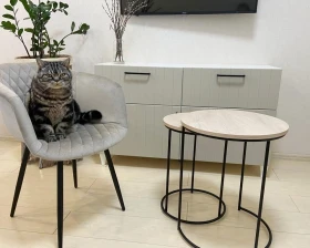 Столик кофейный SHT-CT7 Дуб беленый/Черный муар images