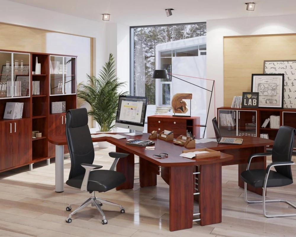 Кабинет руководителя Born TP