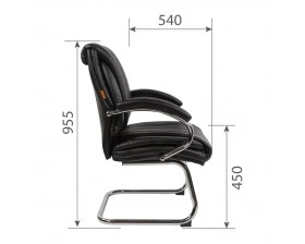 Кресло CHAIRMAN CH423 V images