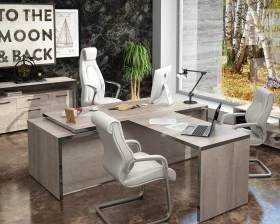 Кабинет руководителя Torr images