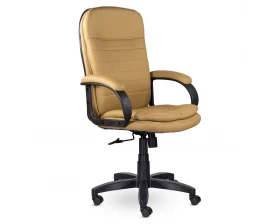 Кресло Дакота СН-251 В пластик 727 images